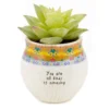 Natural Life Faux Succulent All Kinds Of Amazing Mini Planter, 2"