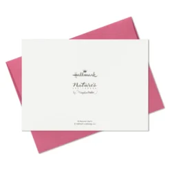 Hallmark Marjolein Bastin Assorted Blank Nature Note Cards In Caddy, Pack Of 24 -Gift Wrap Store Bastin Assorted Nature Note Cards Caddy Bulk Pack 1SOM3881 09