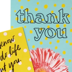 Hallmark Colorful Daisies Boxed Thank-You Notes, Pack Of 50 11 Hallmark Colorful Daisies Boxed Thank-You Notes, Pack Of 50 -Gift Wrap Store Colorful Daisies Boxed ThankYou Notes 3THK2543 05