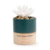 Demdaco Relax Succulent Oil Diffuser