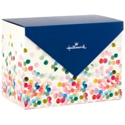 Hallmark Assorted All-Occasion Cards In Polka Dot Organizer Box, Box Of 24 -Gift Wrap Store Everyday Cards Organized Storage Box 5EDX3456 03