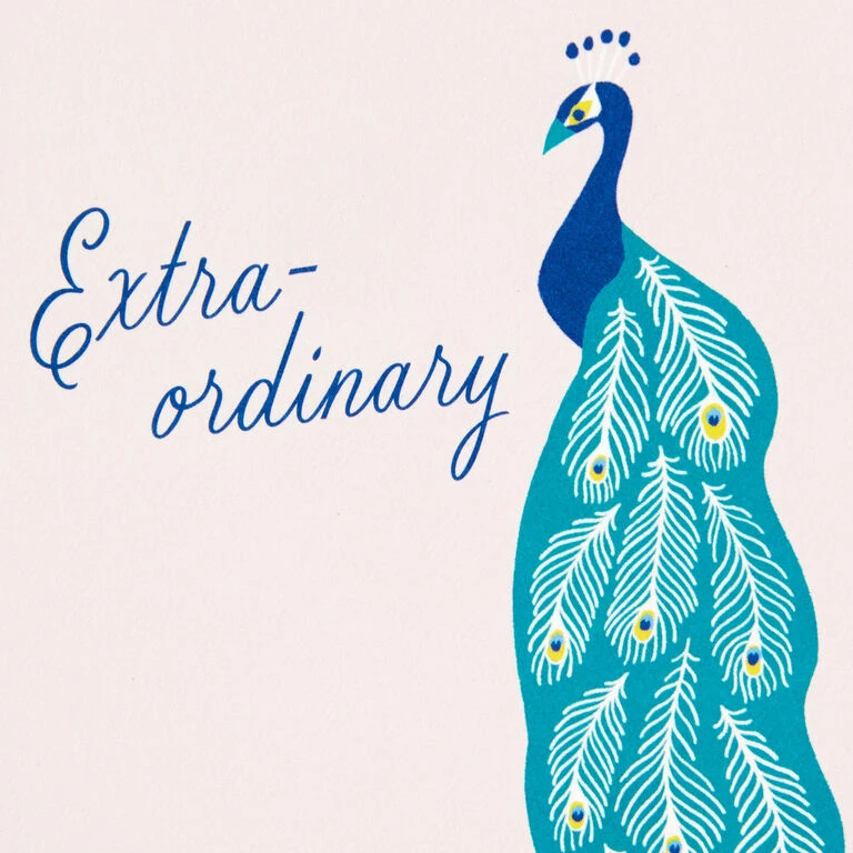 Hallmark Exotic Animals Assorted Blank Thank-You Notes, Pack Of 48 3 Hallmark Exotic Animals Assorted Blank Thank-You Notes, Pack Of 48 - Image 3