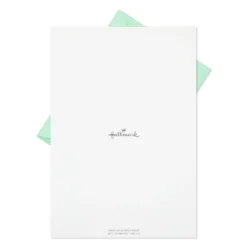 Hallmark Fern Border Stationery Set, 20 Sheets -Gift Wrap Store Green Ferns Writing Sheets Stationery Set 1STN1144 05