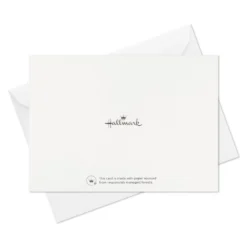 Hallmark Modern Elegance Boxed Thank-You Notes, Pack Of 50 -Gift Wrap Store Modern Elegance Boxed ThankYou Notes 3THK2545 07