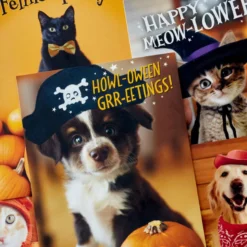Hallmark Pet Puns Boxed Halloween Cards Assortment, Pack Of 48 -Gift Wrap Store Pet Puns Boxed Halloween Cards Assortment 5ELT1013 03