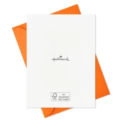 Hallmark Pet Puns Boxed Halloween Cards Assortment, Pack Of 48 -Gift Wrap Store Pet Puns Boxed Halloween Cards Assortment 5ELT1013 05