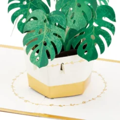 Hallmark Plant In Pot 3D Pop-Up Thinking Of You Card -Gift Wrap Store Plant in Pot 3D PopUp Thinking of You Card 1299LAD2900 03