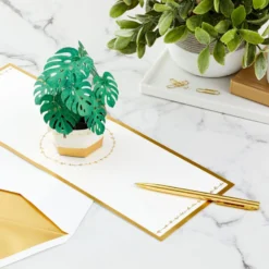 Hallmark Plant In Pot 3D Pop-Up Thinking Of You Card -Gift Wrap Store Plant in Pot 3D PopUp Thinking of You Card 1299LAD2900 07